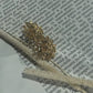 Vintage clips by Sarah Coventry